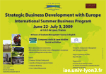 International Summer Business Program